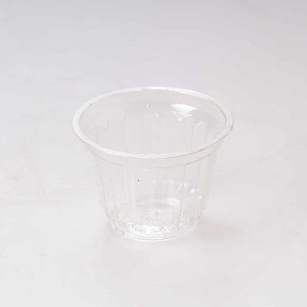 Molde #10 Costilla Cristal 50 Pz - Image 2