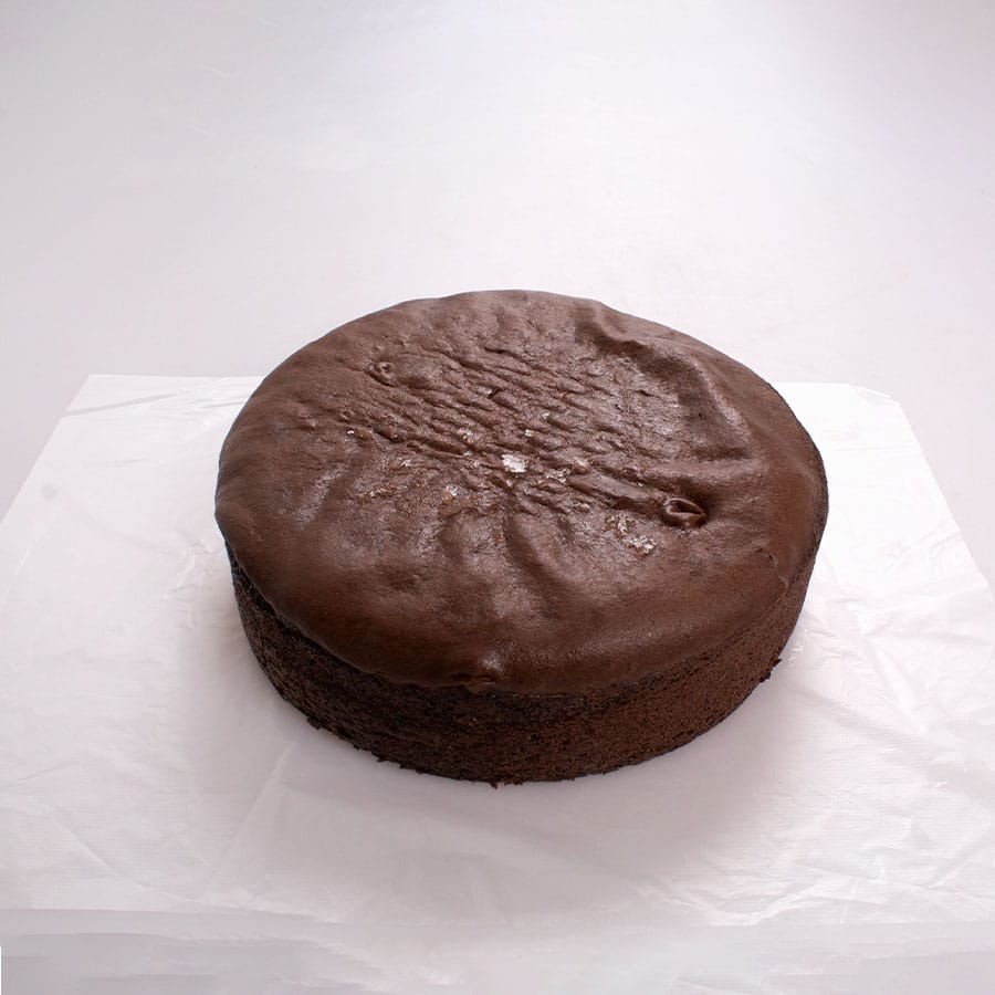 Pan Esponja Chocolate Congelado 25 Cm