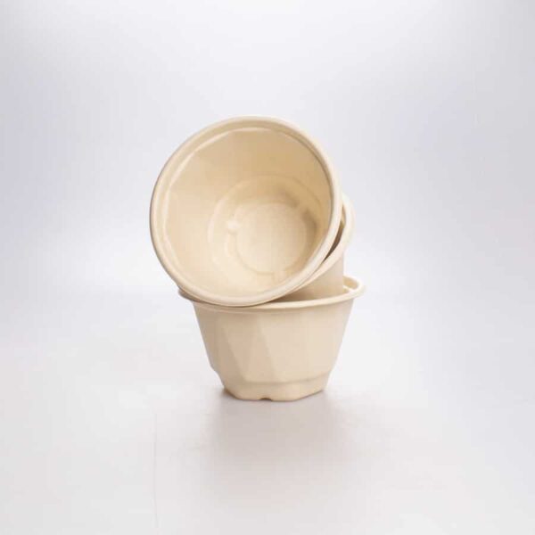 Contenedor 1000 Ml Caña Bio 50 Pz