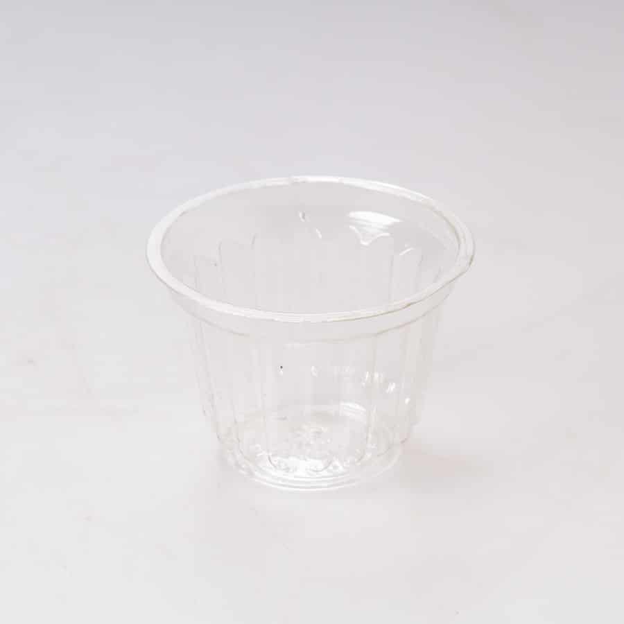 Molde #10 Costilla Cristal 50 Pz - Image 2