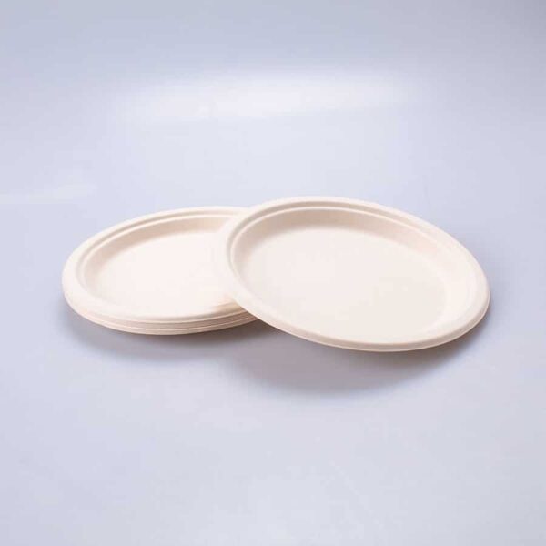 Plato Redondo Liso Natural Compostable 22.5 Cm Conver 10 Pz - Image 2