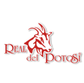 realdepotosi web